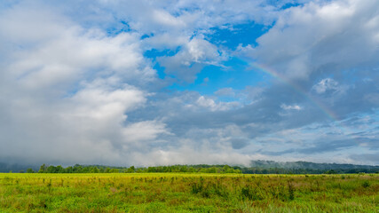 Marshlands and Rainbow