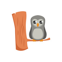 Cute animal in their house