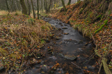 Olsovy creek near Petrovice village in Krusne mountains in autumn morning