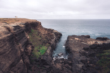 Coastal landscape near Slope Point, the Southernmost point of New Zealand
