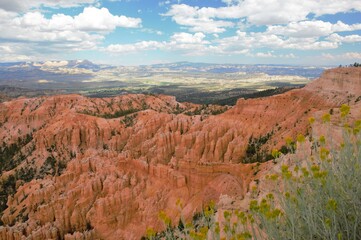 Rock formations at Bryce Canyon National Park