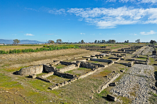 Sybaris Copia, archeological site, Sibari, Cosenza district, Calabria, Italy, Europe