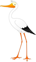stork with black and white plumage and orange beak and orange paws