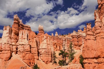 Fototapeta premium Rock formations at Bryce Canyon National Park