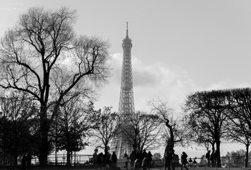 Paris Bäume Park schwarz weiß Tuileries Louvre Place de la Concorde Turm Bauwerk Silhouetten...