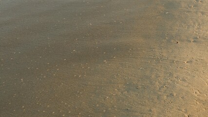 Seamless Beach Sand Surface Texture.