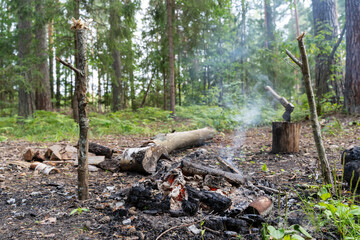coals from a fire in the forest