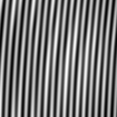 black and white embossed texture of lines, zebra lines