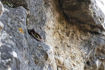 Rusty rock-climbing bolt