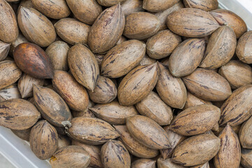 Whole in shell pecan nuts close up - top view