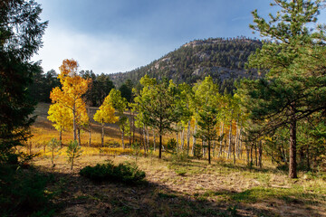 Fototapeta premium Fall Hike in the Mountainside