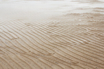 Fototapeta na wymiar wavy lines on the sand created by sea waves at low tide, pastel light shades
