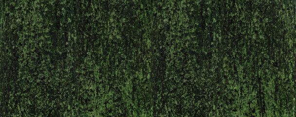 mossy tree bark web banner
