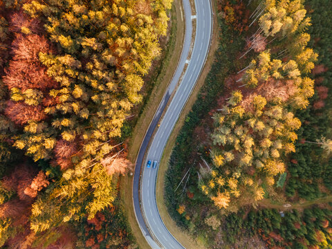 Autumn Bavarian Forest view from top to enjoy the red and orange colors