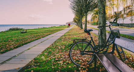 bicycle path in the park