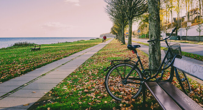 Bicycle Path In The Park