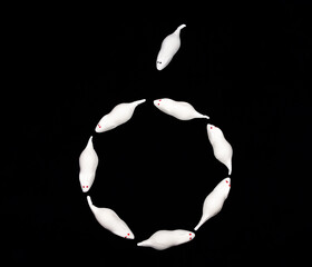 Sweet white mice from marshmallow, foamy sugar, flat layed in form of a circle with one mouse outside for decoration on black background