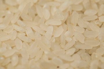 close-up of raw rice grains