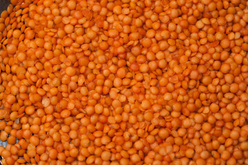 close-up raw lentil kernels