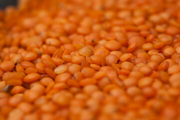 close-up raw lentil kernels