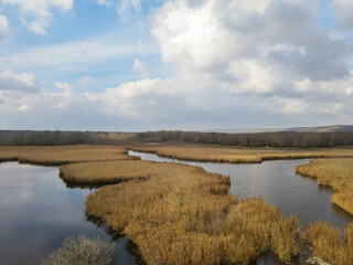 lake and reeds in autumn