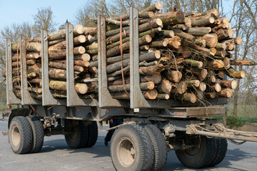 Transportation of wood on a truck with a trailer on the highway. Industrial truck for transporting timber. Renewable natural resources. timber machine. Timber export and shipping concept.