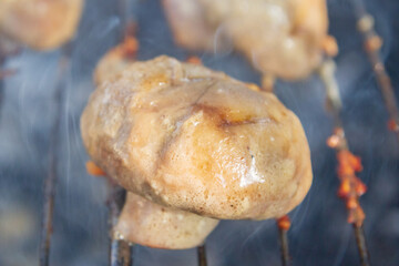 Pickled mushrooms are cooked on the grill on coals