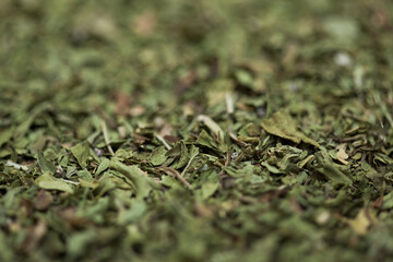 Close-up green dried mint background.