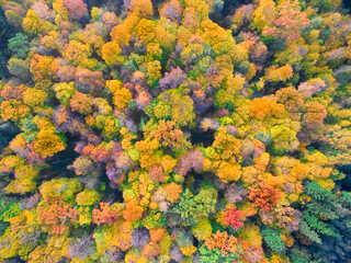 Fototapeta na wymiar Aerial view of beautiful landscape of Mazury region during autumn season