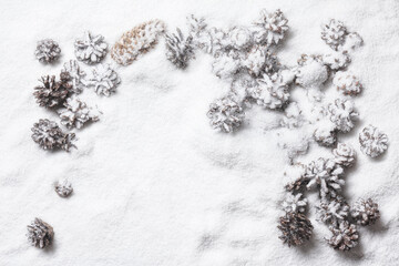 Fototapeta na wymiar Snow on the pine cones. Christmas composition. Flat lay, copy space