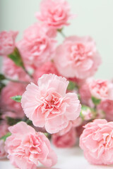 Fototapeta na wymiar Small bouquet of pink carnations in on a white background, copy space