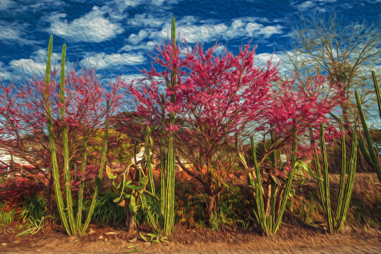 Cactus and small trees full of pink flowers at sunset, forming an amazing landscape near Bento Goncalves. A friendly country town in southern Brazil famous for its wine production. Oil Paint filter.