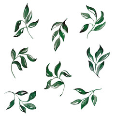Set for pattern Vintage Branches With Leaves. Decorative Elements for Decoration