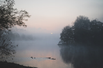 Nebel über See; Obersee; Bielefeld