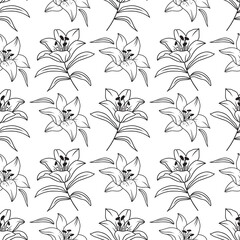 Lily seamless pattern, Elegant lilies drawn by a thin line. Floral pattern black and white. Vector flowers isolated from background