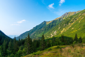Fototapeta na wymiar Green mountain covered with forest on the blue sky background. Tatras mountain in slovakia