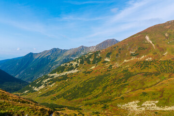 Naklejka premium Colorful yellow autumn in Tatras mountain, slovakia Fall season.