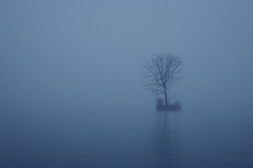 Moody autumn fog by the lake