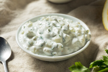 Homemade Greek Tzatziki Sauce