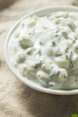 Homemade Greek Tzatziki Sauce