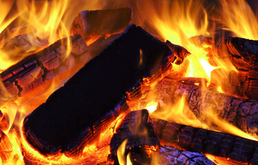 Warm campfire burning example