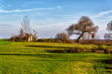 Obraz premium Jesień w Biebrzańskim Parku Narodowym, Podlasie, Polska