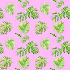 Watercolor illustration seamless pattern of tropical leaf monstera. Perfect as background texture, wrapping paper, textile or wallpaper design. Hand drawn