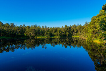 Fototapeta na wymiar Tree Reflections in the lake in morning sunrise