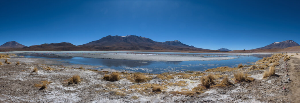 The smelly lake Hedionda (Laguna Edionda) with flamingos on the Bolivian highlands, Bolivia
