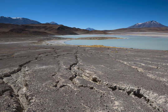 Cracks in the dry desert sand leading the eye to the green Laguna Honda, Bolivia