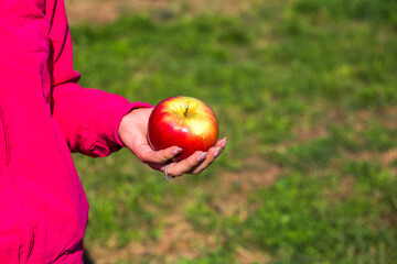 apple in woman hand close up