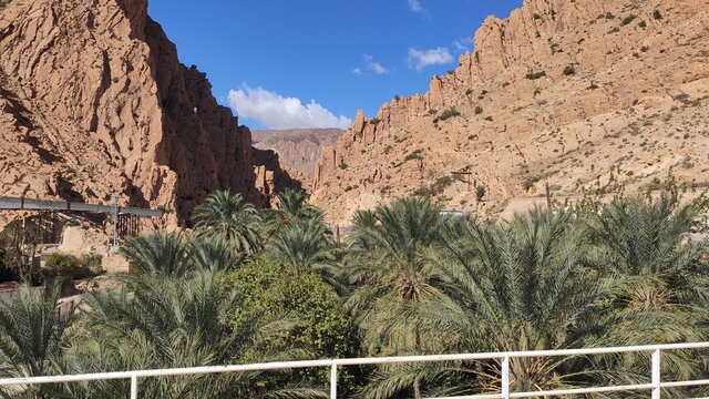 biskra  algeria