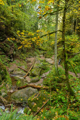 Herbstliche Landschaft im Schwarzwald