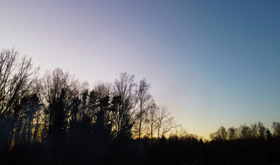 Fototapeta na wymiar Sunset sky over dark forest and black trees